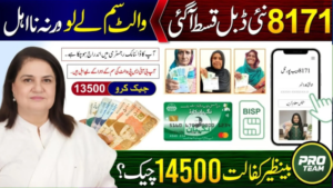 Ehsaas Program 8171 Online CNIC Check (2026 Complete Guide)